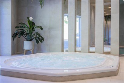 1 nakvynė + SPA „Nykščio namai & SPA“ d. d.