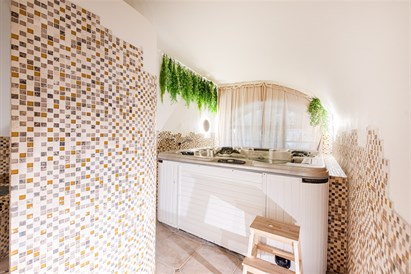 Arfos garsų terapija + SPA